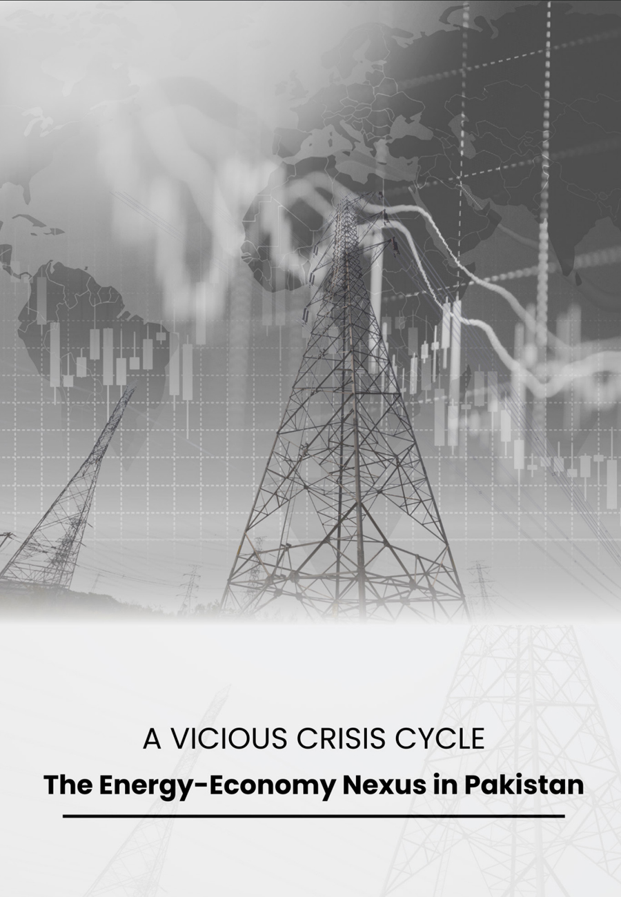 Energy-Economy Nexus